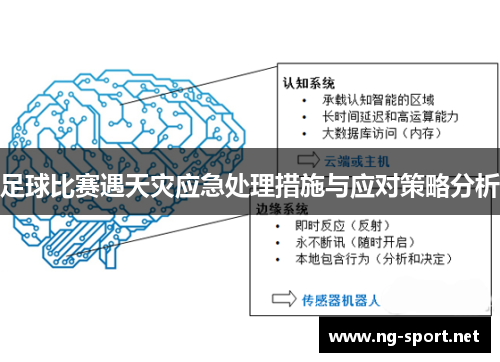 足球比赛遇天灾应急处理措施与应对策略分析
